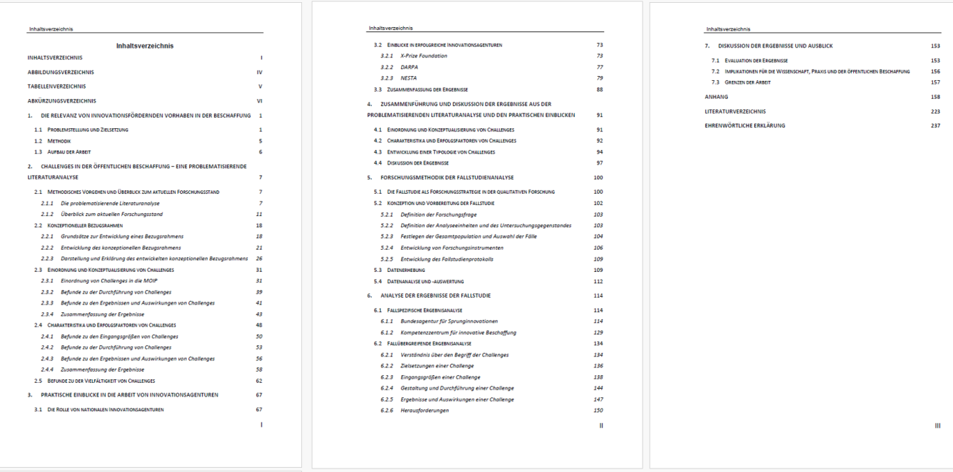 Beispiel 2: Masterarbeit
Thema: Challenges in der öffentlichen Beschaffung – Eine Analyse von Umsetzungsdefiziten strategischer Ziels